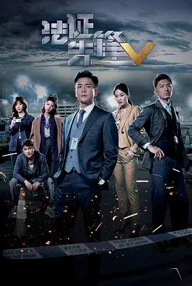 法证先锋5（国语版）封面图