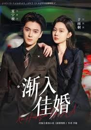 渐入佳婚第一部