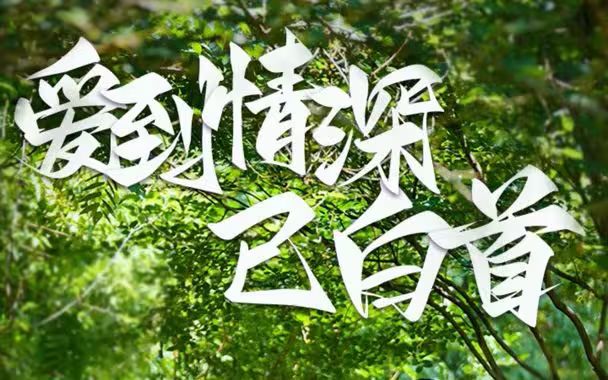 爱到情深已白首封面图