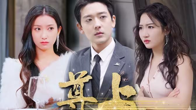 尊上封面图