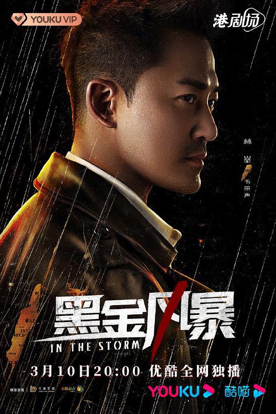 黑金风暴国语封面图
