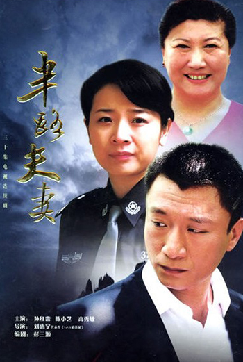 半路夫妻封面图