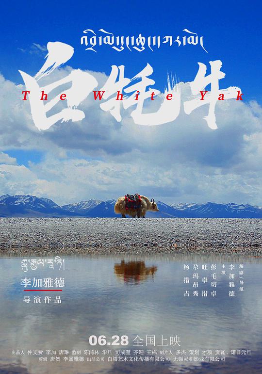 白牦牛封面图