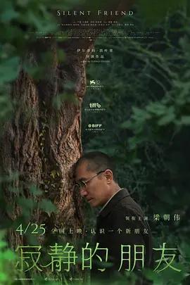 寂静的朋友国语